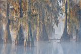 Lake Martin_26234